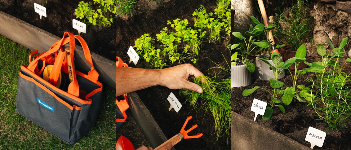 Como fazer uma horta em casa: guia simples para come&ccedil;ar