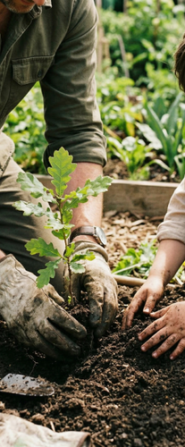 Imagem em primeiro plano mostrando as mãos de um adulto com luvas de jardinagem Tramontina e as mãos de uma criança plantando uma muda de carvalho na terra, com uma pequena pá de jardim ao lado.